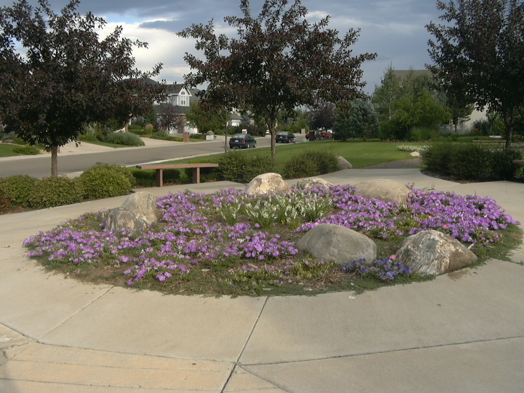 flowerbeds in The Reserve