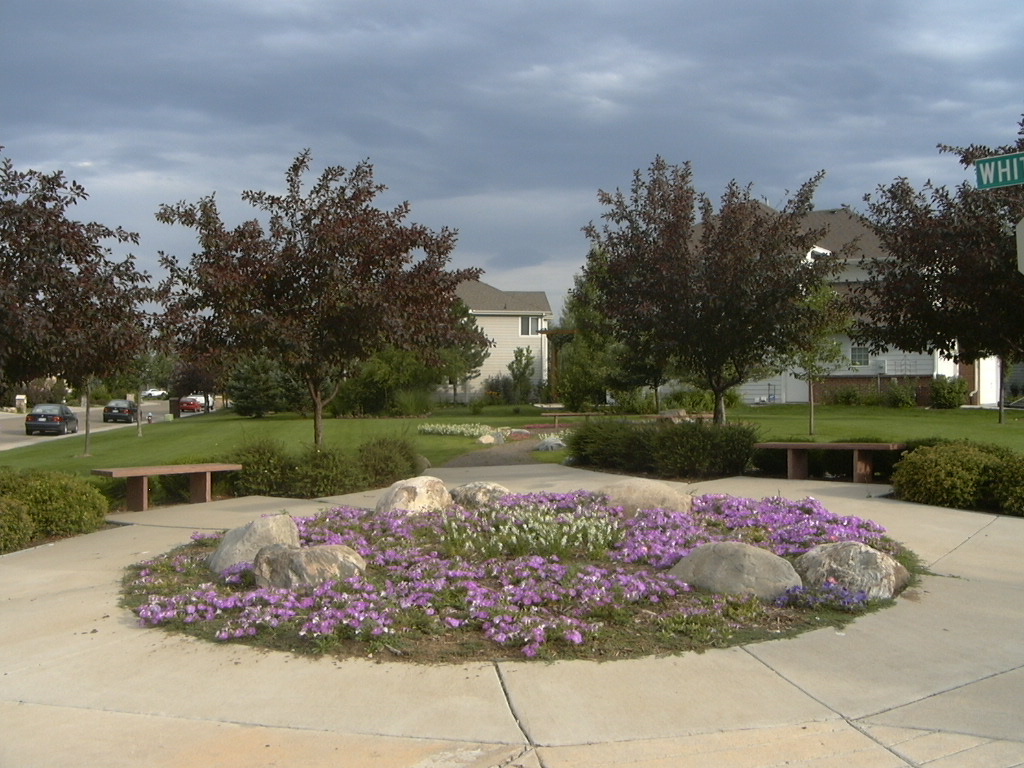 flowerbeds in The Reserve